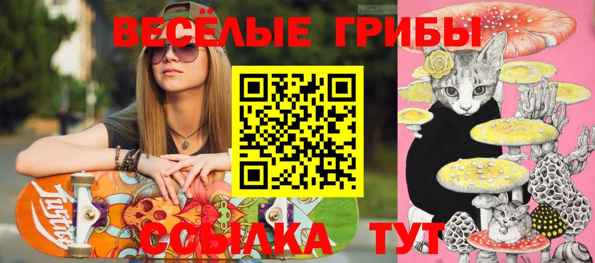 Галлюциногенные грибы Psilocybine cubensis  Галлюциногенные грибы мухоморы  Майский  Вход с VPN 